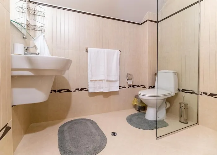 Spacious In The Center Apartment Plowdiw